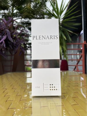 plenaris